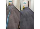 Expert Commercial Carpet Care for Bethlehem Businesses – Share Advanced Tile And Carpet Deep Cleanin