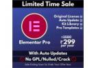 Buy Elementor Pro activate with original license key