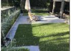 Landscaping Normanhurst