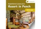 Experience Luxury at a Resort in Pench