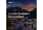 kashmir luxury packages