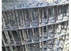 Buy Galvanized Welded Wire Mesh – Durable & Rust-Resistant Fencing