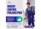 Rodent Control Philadelphia