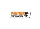 Panther Pest Control Camden