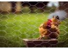 Reliable Chicken Wire Mesh Manufacturer – High Quality