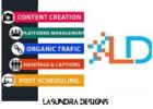 Boost Your Brand with Lasundra Designs!