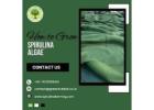 How to Grow Spirulina Algae | How to Produce Spirulina