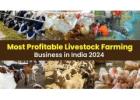 Livestock farming  in India.