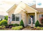 Expert in Solar Panel Cleaning