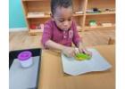 Riverstone Montessori: Leading Education in Sugar Land TX