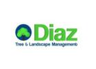 Diaz Tree and Landscape Management