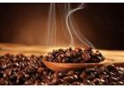 Premium Coffee Beans Online – Freshly Roasted & Delivered