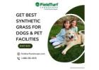 Get Best Synthetic Grass for Dogs & Pet Facilities | FieldTurf Landscape