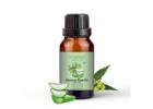 Aloe Vera Neem Fragrance Oil