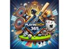 How to Win Big in Online Cricket Betting – Playinexch365 Guide