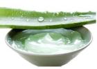 Aloe Vera for Natural Skincare Supplier