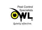 Best Pest Control Dublin: Your Trusted Pest Experts