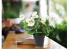 Add Long-Lasting Beauty to Your Home with Flowering Artificial Plants