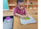 Montessori Toddler Program: Fostering Independence and Growth