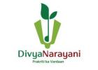 Ayurvedic herbal products