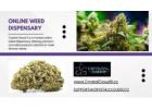 Crystal Cloud 9: Your Premier Online Weed Dispensary for Quality and Convenience