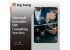 Microsoft Dynamics ERP Consulting Services