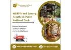 Wildlife and Luxury Resorts in Pench National Park