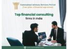 Top Financial Consulting Firm in India