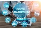 Digital Marketing Institute in Delhi – Enroll Now