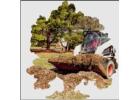 Efficient Debris Removal Service by Tree Service Expert the Fast, Reliable, and Affordable