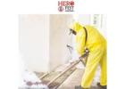 Expert Pest Control Lyndhurst – Trusted Lyndhurst Pest Control Services