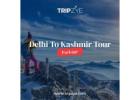 Delhi to Kashmir tour packages for couple