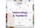 numerology and numbers