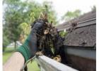 Get Professional Gutter Cleaning Services from Riptide Softwash