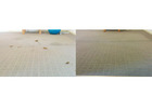 Residential carpet cleaning Adelaide