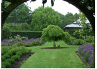 Expert Gardening & Property Maintenance Services in Bowral