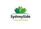 Tree Lopping Eastern Suburbs: Keep Your Landscape Thriving