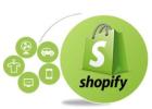 Expert Services for Shopify Product Listings