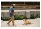 Personal Dog Trainer San Antonio TX