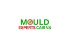 Top Rated Cairns Mould Experts