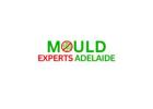 Top Rated Mould Cleaning Service