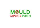 Best Mould Remediation in Perth