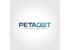 Petadot Cybersecurity Services | SOC, VAPT, Digital Forensics & MDR