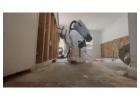 Mold Inspection and Removal Charleston SC