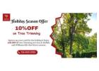 Holiday Season Special – 10% Off Professional Tree Trimming Services!