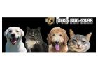 Pet Resort Home - Doggie Dude Ranch and the O'Cat Corral