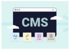 Custom CMS Development | Scalable Solutions for Content Excellence