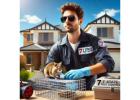 Rodent Control In Melbourne