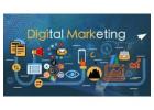 Hire The Best Digital Marketing Agency in Delhi