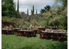 Book Corporate Event Space in Los Angeles for Office Party